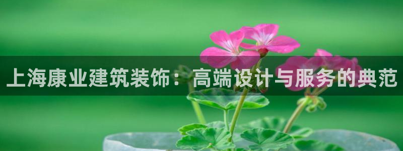 新航新客舱机上娱乐银