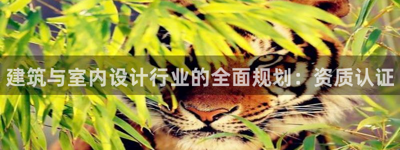新航娱乐招商