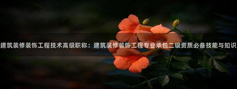 新航娱乐艺人