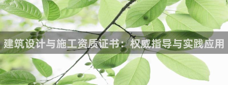 新航娱乐有限公司招聘