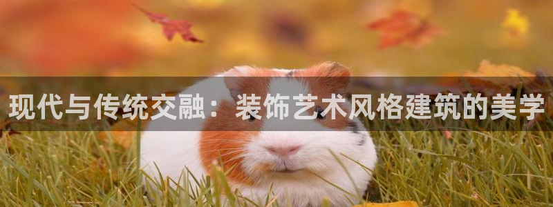 武汉中创新航娱乐室